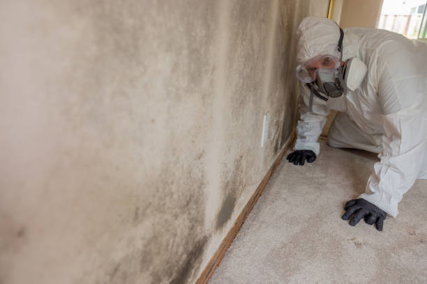 Mold Remediation for Rental Properties in Pen Argyl, PA