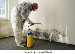 Why You Should Choose Our Mold Remediation Services in Pen Argyl, PA